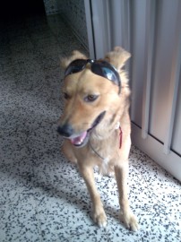 Bayron